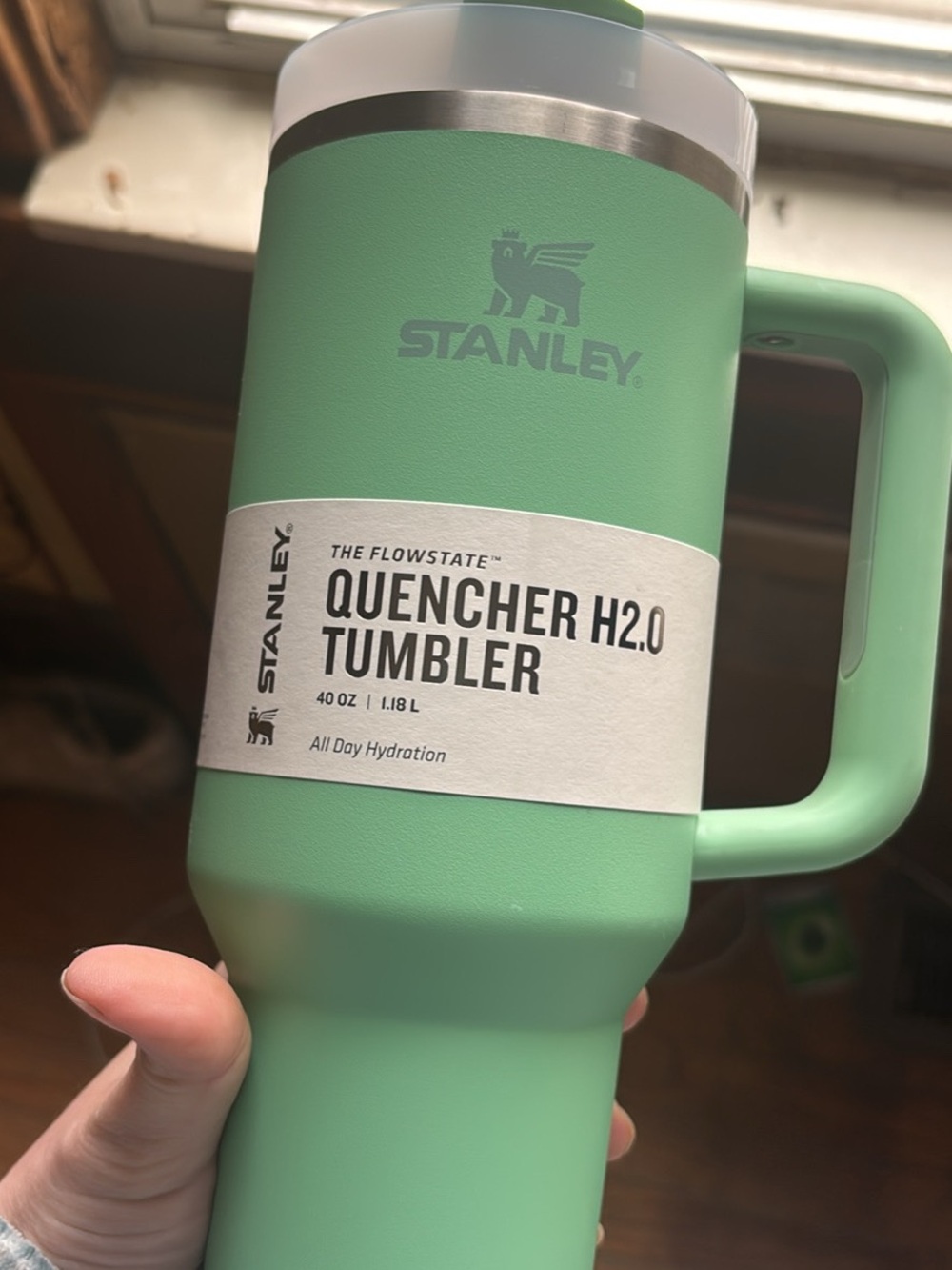 Stanley Quencher H2.0 Tumbler - Mint Green